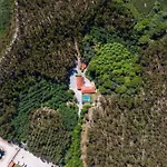 Casa Do Pioledo Camélias De Basto * Lamelas (Douro Litoral)