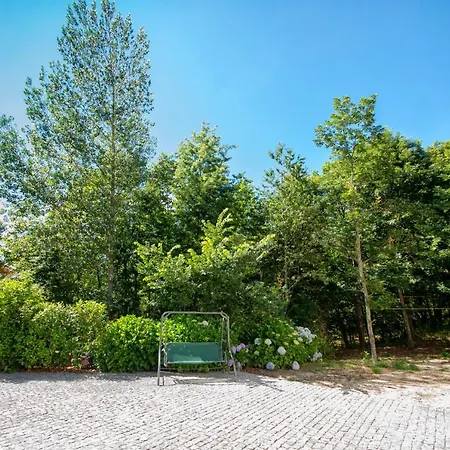 Casa Do Pioledo Camelias De Basto *