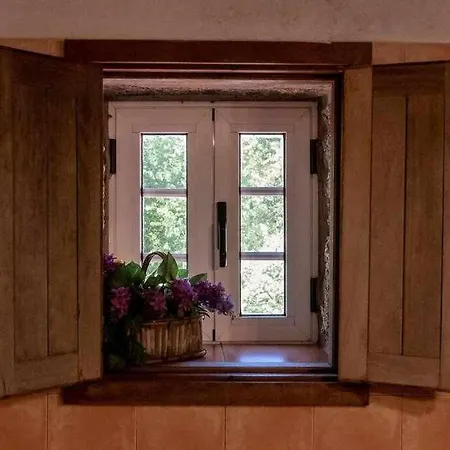 펜션 Casa Do Pioledo Camelias De Basto *