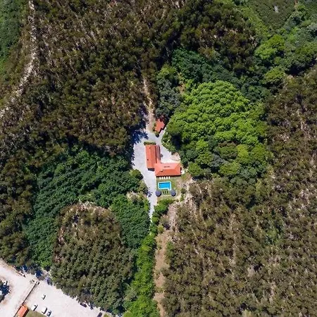 Casa Do Pioledo Camelias De Basto * Lamelas (Douro Litoral)