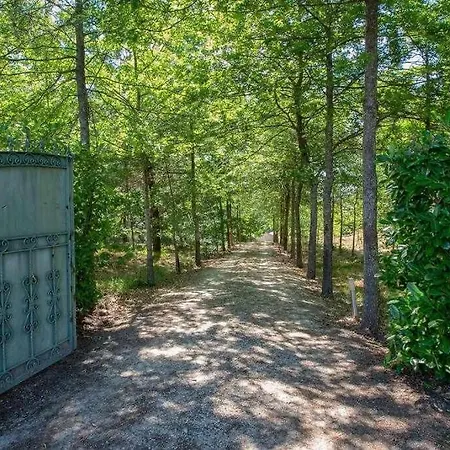 Сasa de vacaciones Casa Do Pioledo Camélias De Basto