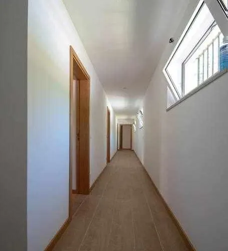 Casa Do Pioledo Camelias De Basto *