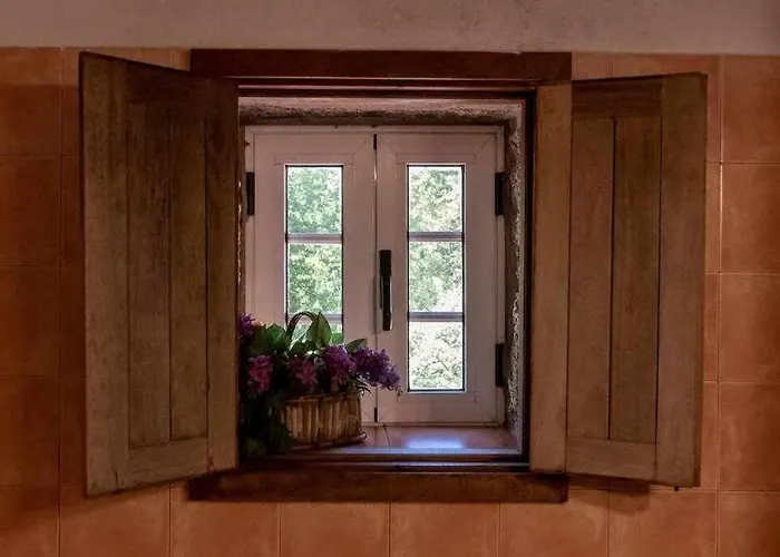 Holiday home Casa Do Pioledo Camelias De Basto *