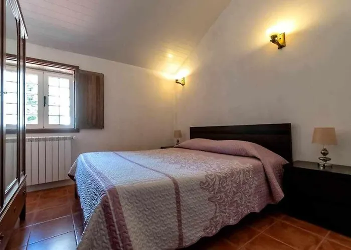 Holiday home Casa Do Pioledo Camelias De Basto