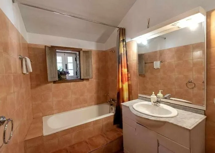 Casa Do Pioledo Camelias De Basto