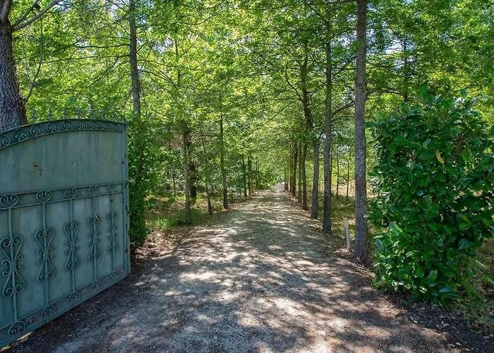 別荘 Casa Do Pioledo Camelias De Basto