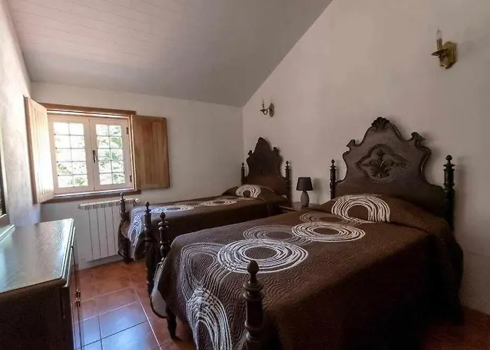 Casa Do Pioledo Camelias De Basto * Lamelas